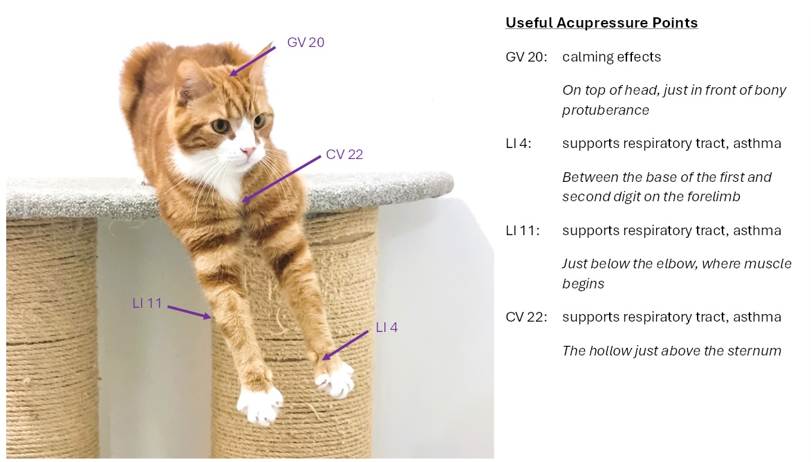 Acupressure points with Alex