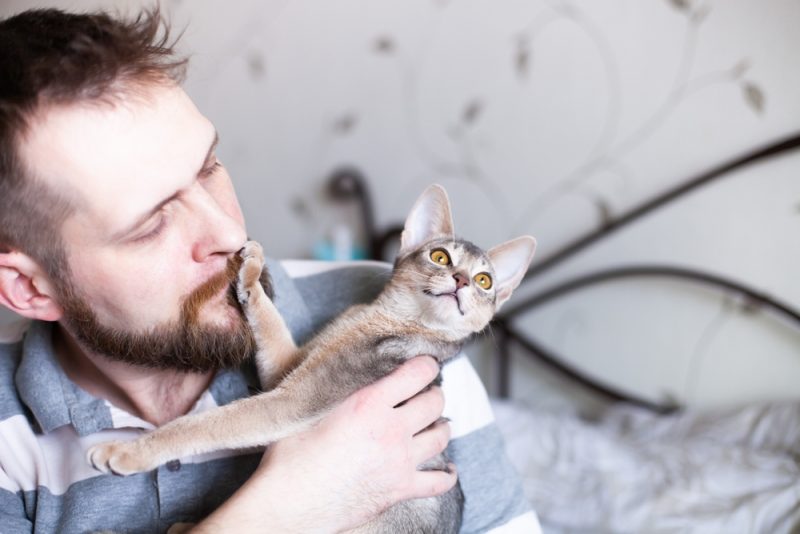 Cat Paw in Owners Mouth