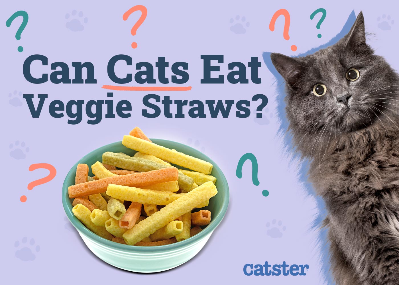 Can Cats Eat Veggie Straws