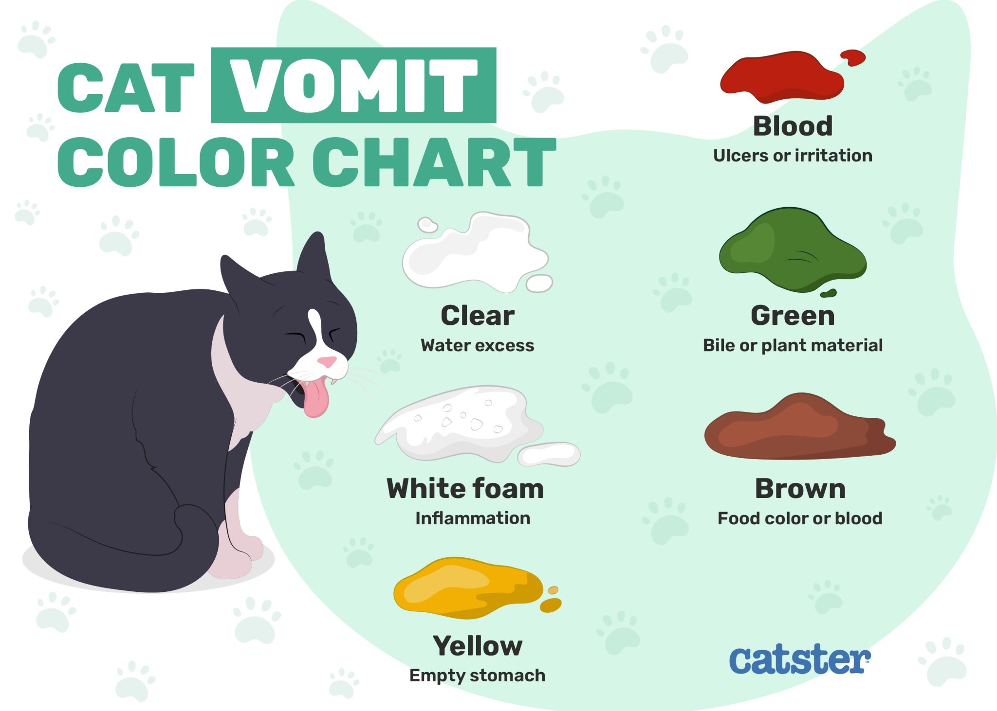 Catster_Cat Vomit Color Chart