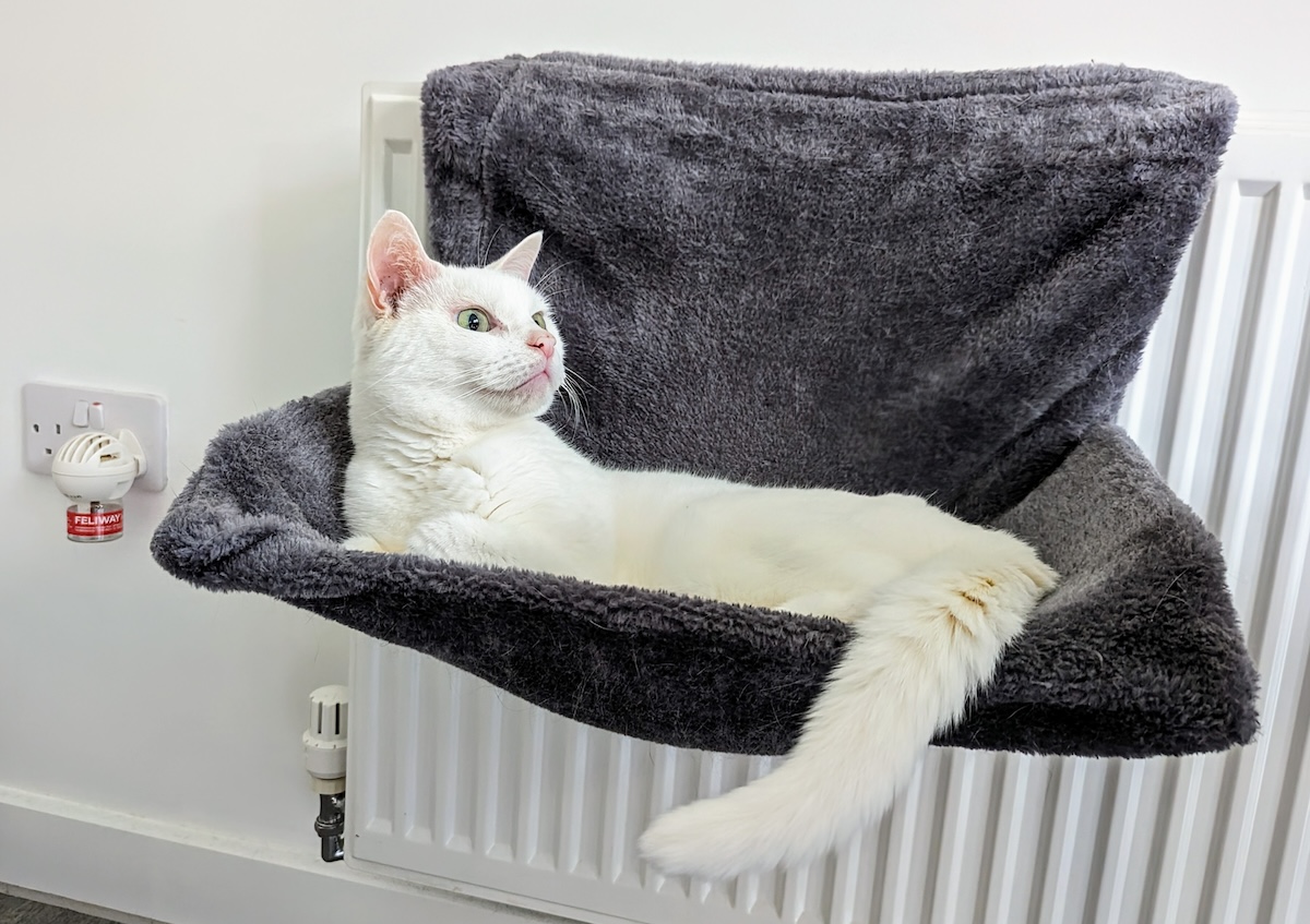 Clutch in his radiator bed