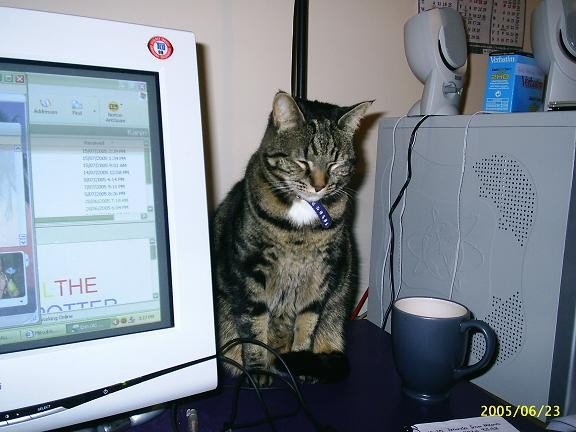 Gilbert liked to help in the office.