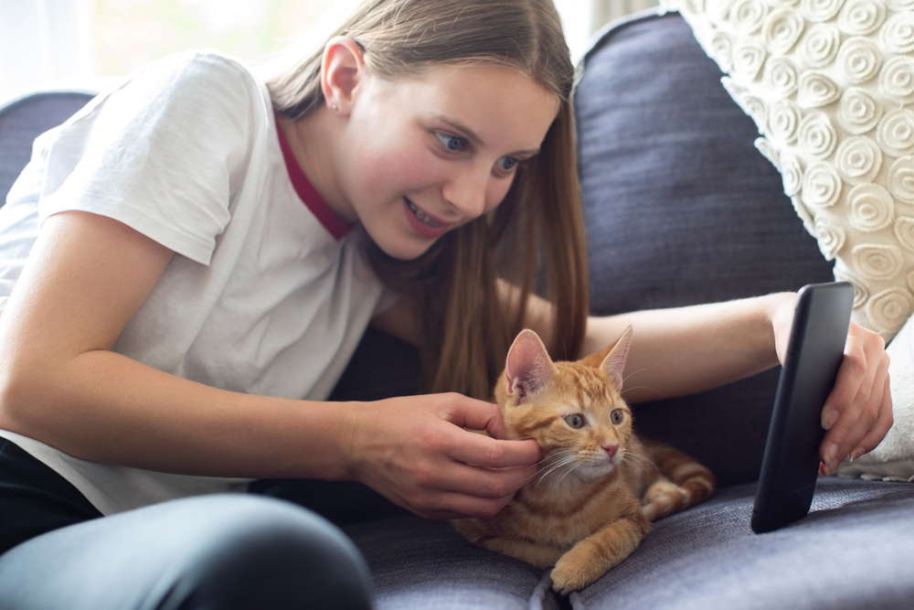 girl looking at the phone with her cat