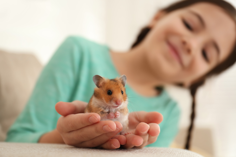 little girl holding a hamster