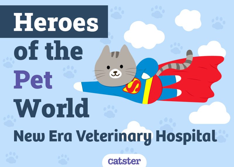 New Era Vet Hospital - heroes of the pet world