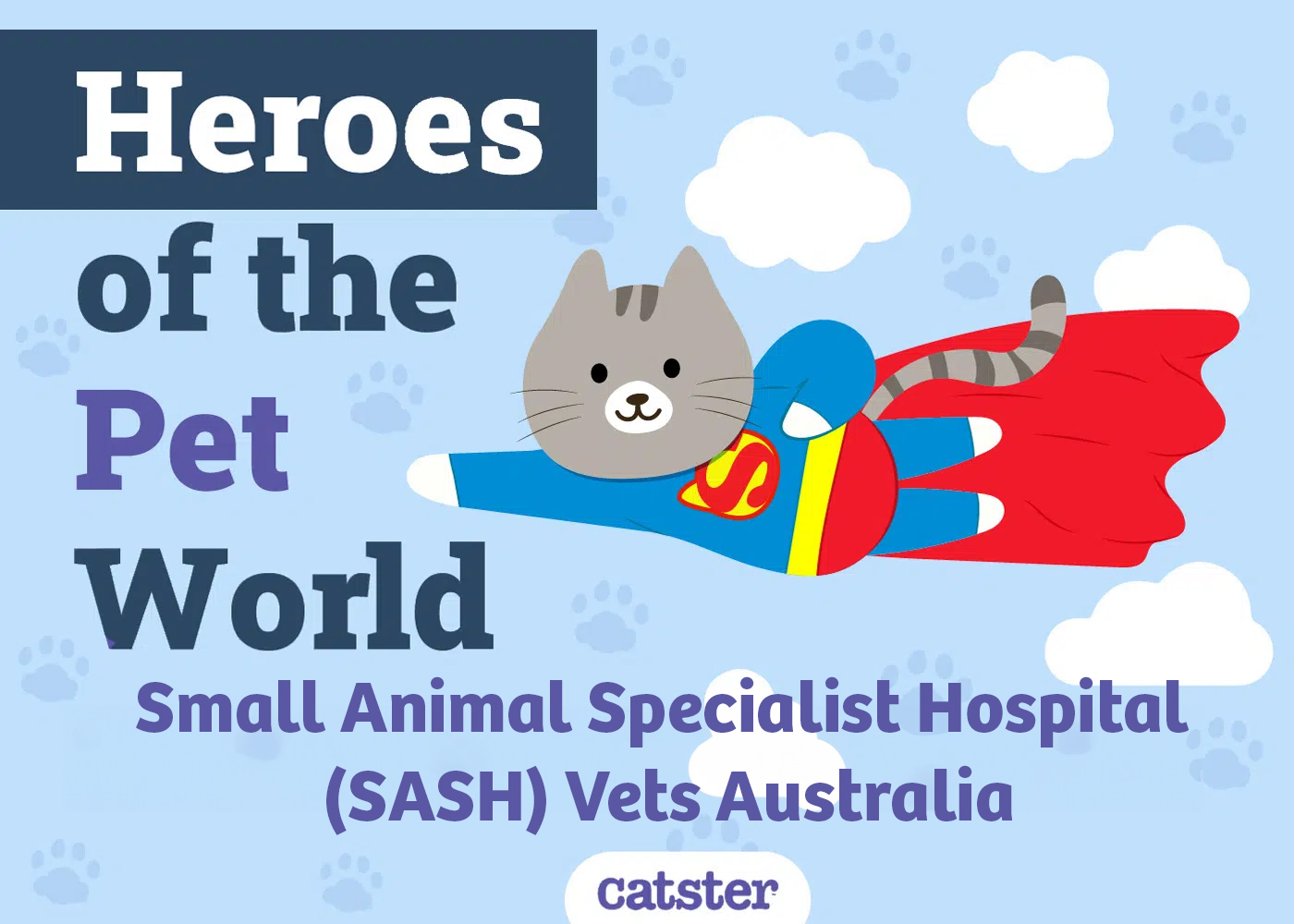 Small Animal Specialist Hospital (SASH) Vets Australia-