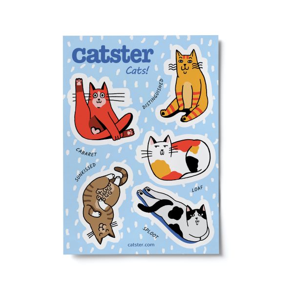 Catster stickers overview