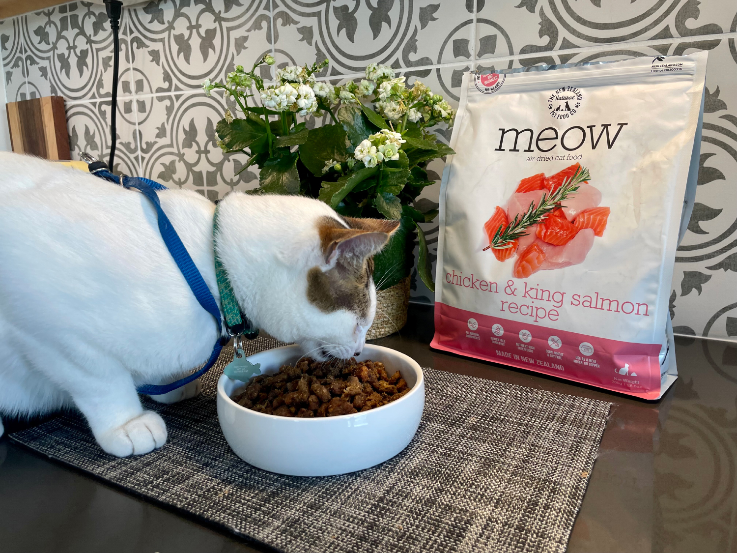 The New Zealand Natural Pet Food - makoa eating chicken & king salmon recipe