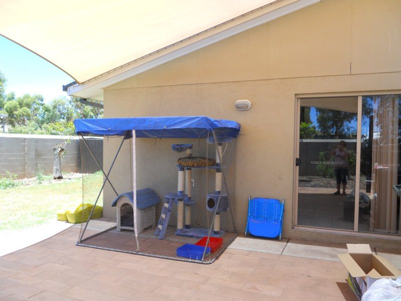 The outdoor enclosure in Alice Springs.