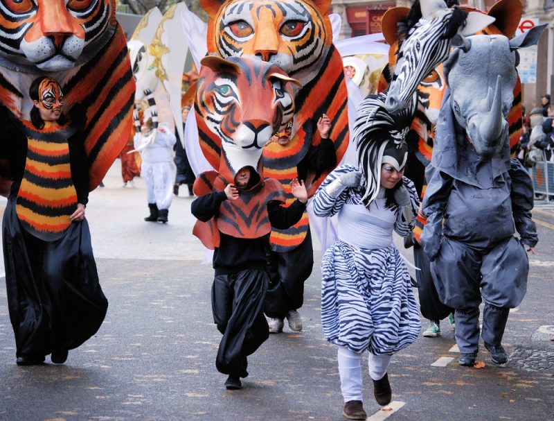 tiger mask parade