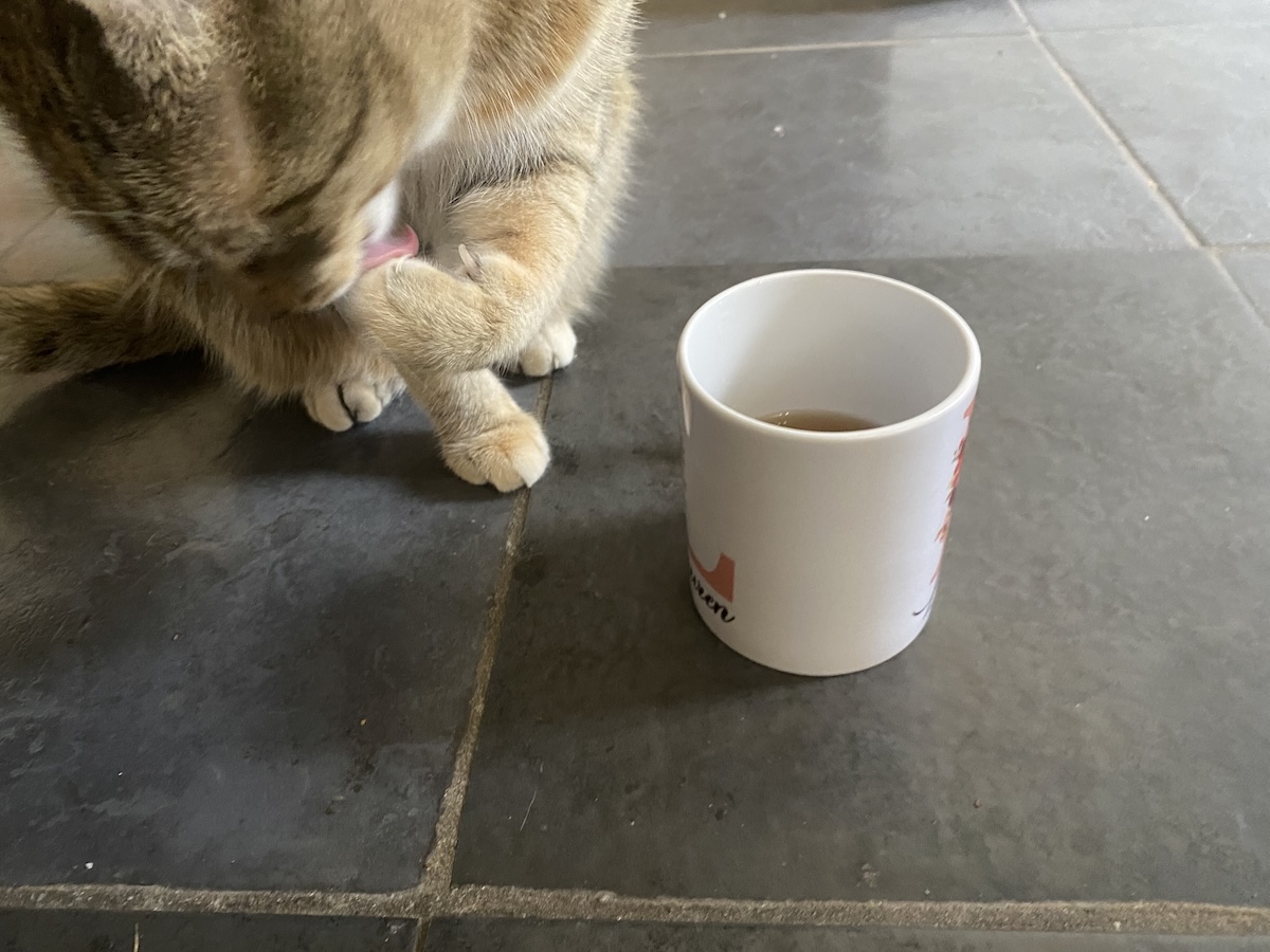 Tiller loves a cuppa.