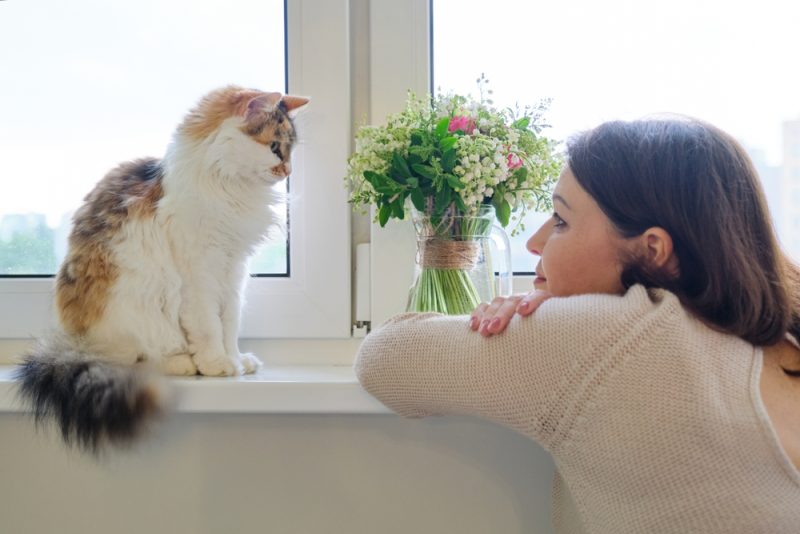 woman-and-her-cat-near-window