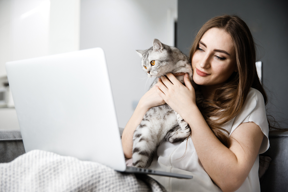 woman using a laptop on couch with her cat