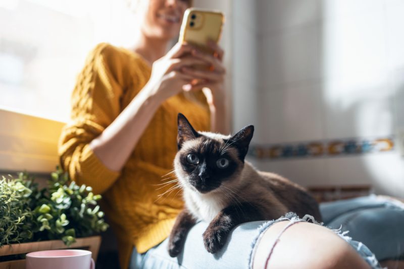 young woman with her cute cat using mobile phone while sitting