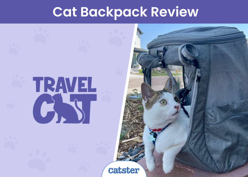 Travel Cat The Navigator Convertible Cat Backpack