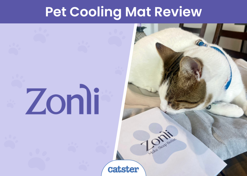 Zonli Pet Cooling Mat